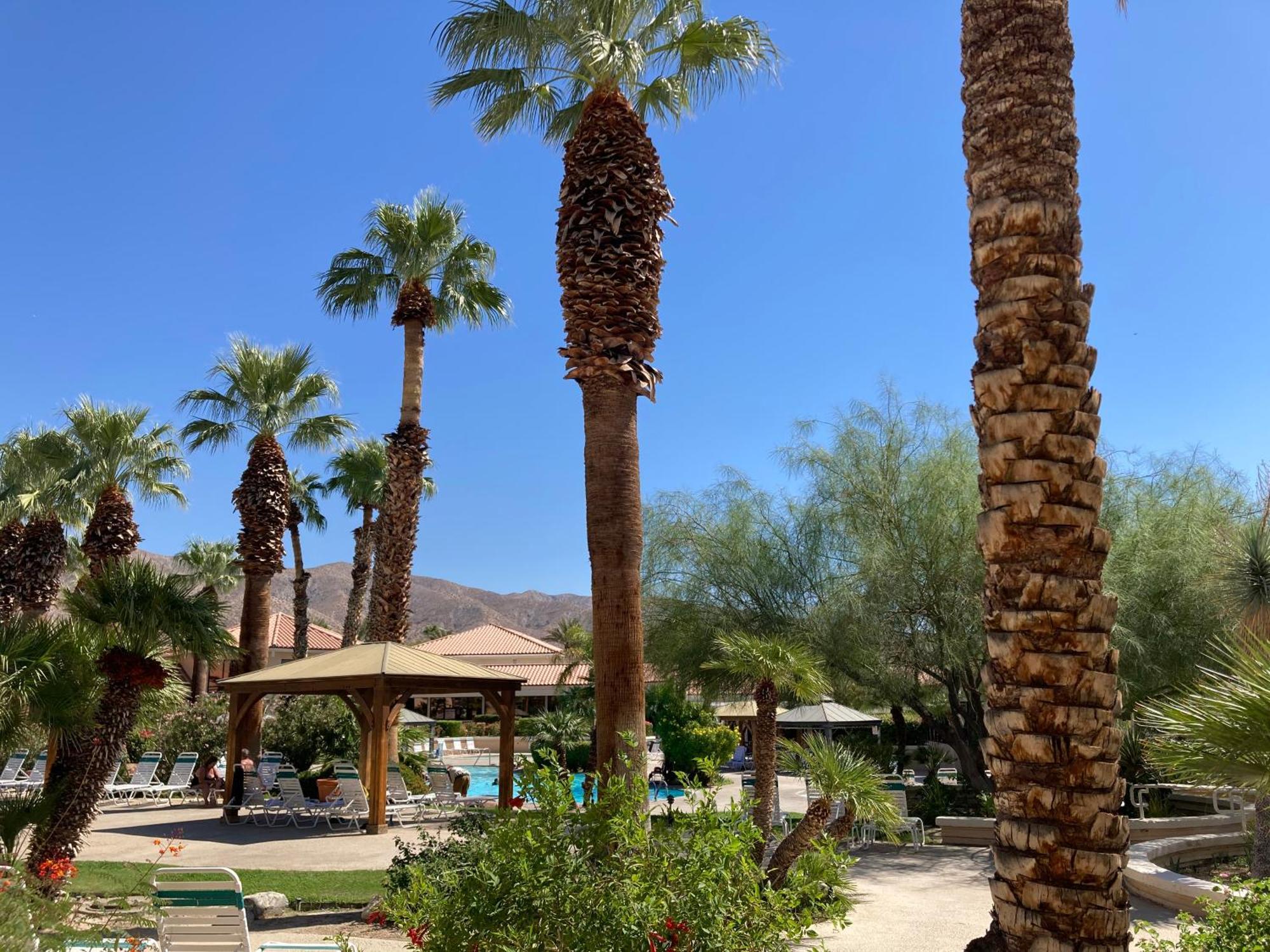 דזרט הוט ספרינגס Miracle Springs Resort And Spa מראה חיצוני תמונה